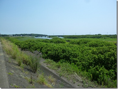 P1070425