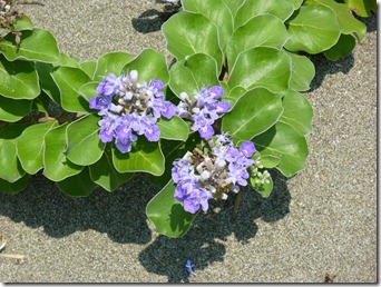 P1070441