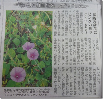 P1070450