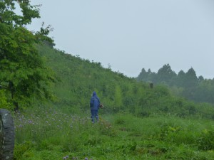 P1040006