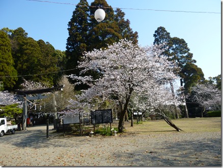 P1080029