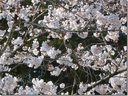 P1080034