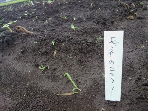 2015-07-04-08-53-16_photo
