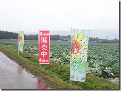 15-12-06-09-30-41-505_photo