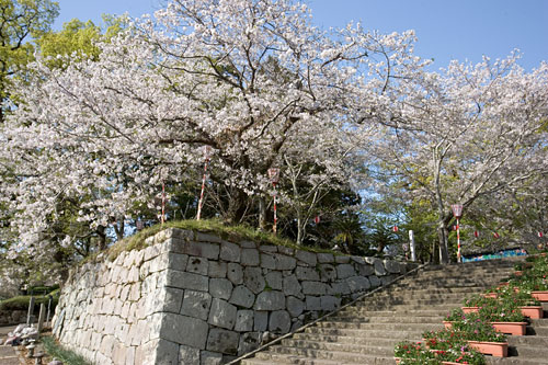 舞鶴公園