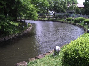 pict0194