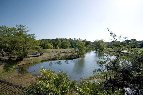 高鍋湿原